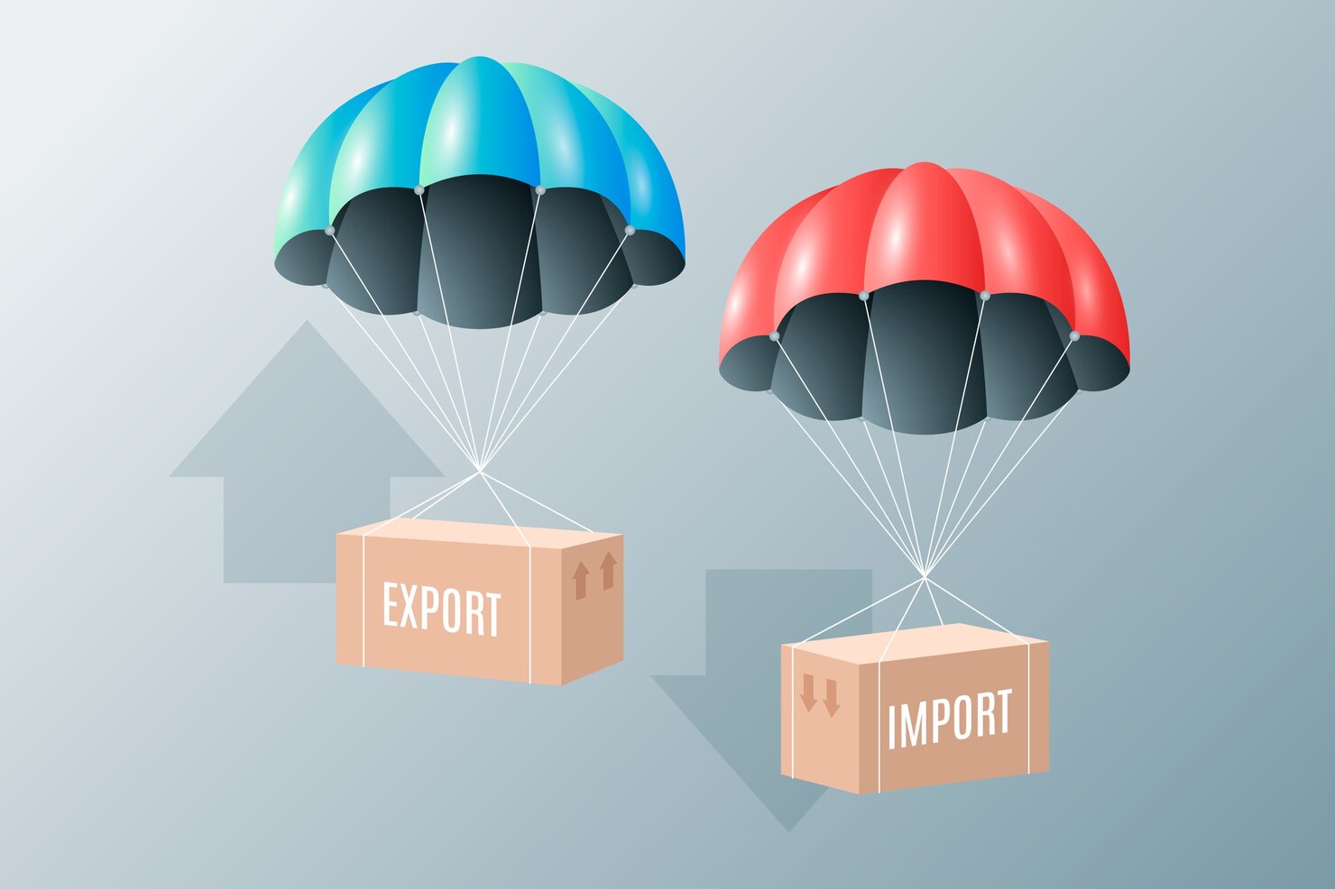 Custom Export Solutions